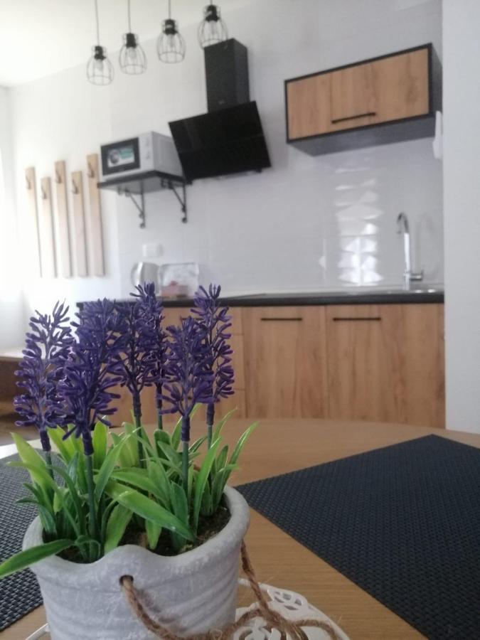 Plitvice Story Apartment Plitvicka Jezera Bagian luar foto